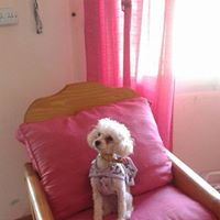 Mary Veltri Photo 13