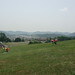 Jeffrey Adkins Photo 14