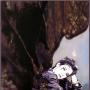 Shelley Hopkins Photo 24