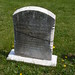 Elizabeth Tabor Photo 19
