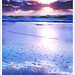 Dawn Miles Photo 13