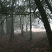 Kimberly Galbreath Photo 8