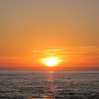 Cynthia Mcneil Photo 10