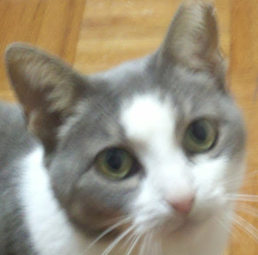 Charles Star Photo 2