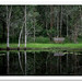 Mary Dam Photo 20