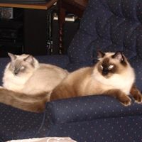 Barbara Whaley Photo 33