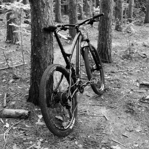 Joe Saunders Photo 6