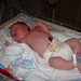 Alexander Erickson Photo 15
