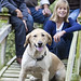 Lisa Middleton Photo 7