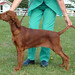 Heather Dionne Photo 18