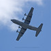 Mark Forman Photo 42