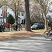 Virginia Conti Photo 8