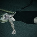 Tara Gross Photo 9