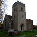 Ronald Priest Photo 15