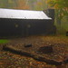 Russell Fields Photo 8