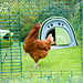 Vicky Warner Photo 29