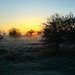 Dawn Chase Photo 14
