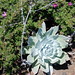 Rosa Buckner Photo 2