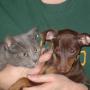 Donna Powers Photo 32