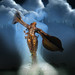 Robert Fix Photo 32