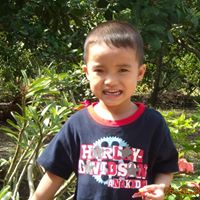 Phuoc Vo Photo 27