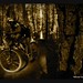 Jackie Lowe Photo 22