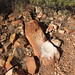 Kathleen Spring Photo 11