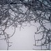 April Winters Photo 35