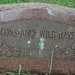 Constance Barrington Photo 2