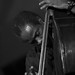 David Weston Photo 25