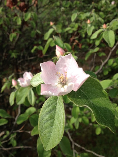 Susan Rupp Photo 39
