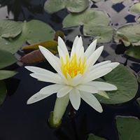 Khiet Nguyen Photo 21