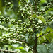 Juan Bean Photo 11