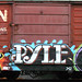 Sue Pyle Photo 20