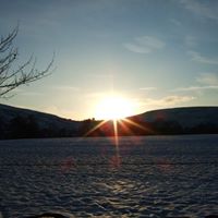 Rich Hall Photo 24