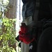 Clifford Bush Photo 7
