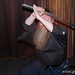 Samuel Steen Photo 22
