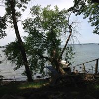 Carol Lindemann Photo 7
