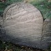 Deborah Sargent Photo 20