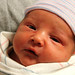 Thomas Conner Photo 33