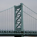 Steven Franklin Photo 37