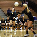 Sarah Gilbert Photo 32