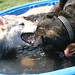Kendell Murphy Photo 10