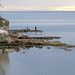 Dawn Scott Photo 11