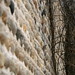 Debra Hart Photo 19