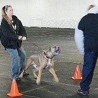 Michele Weatherly Photo 7