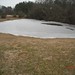 Debra Goss Photo 10