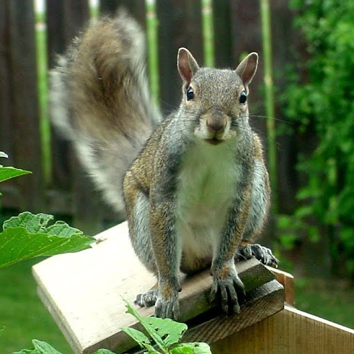 Richard Wachs Photo 10