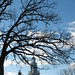 David Brockway Photo 20