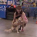 Pamela Ward Photo 20